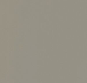 Монохромный темно-бежевый